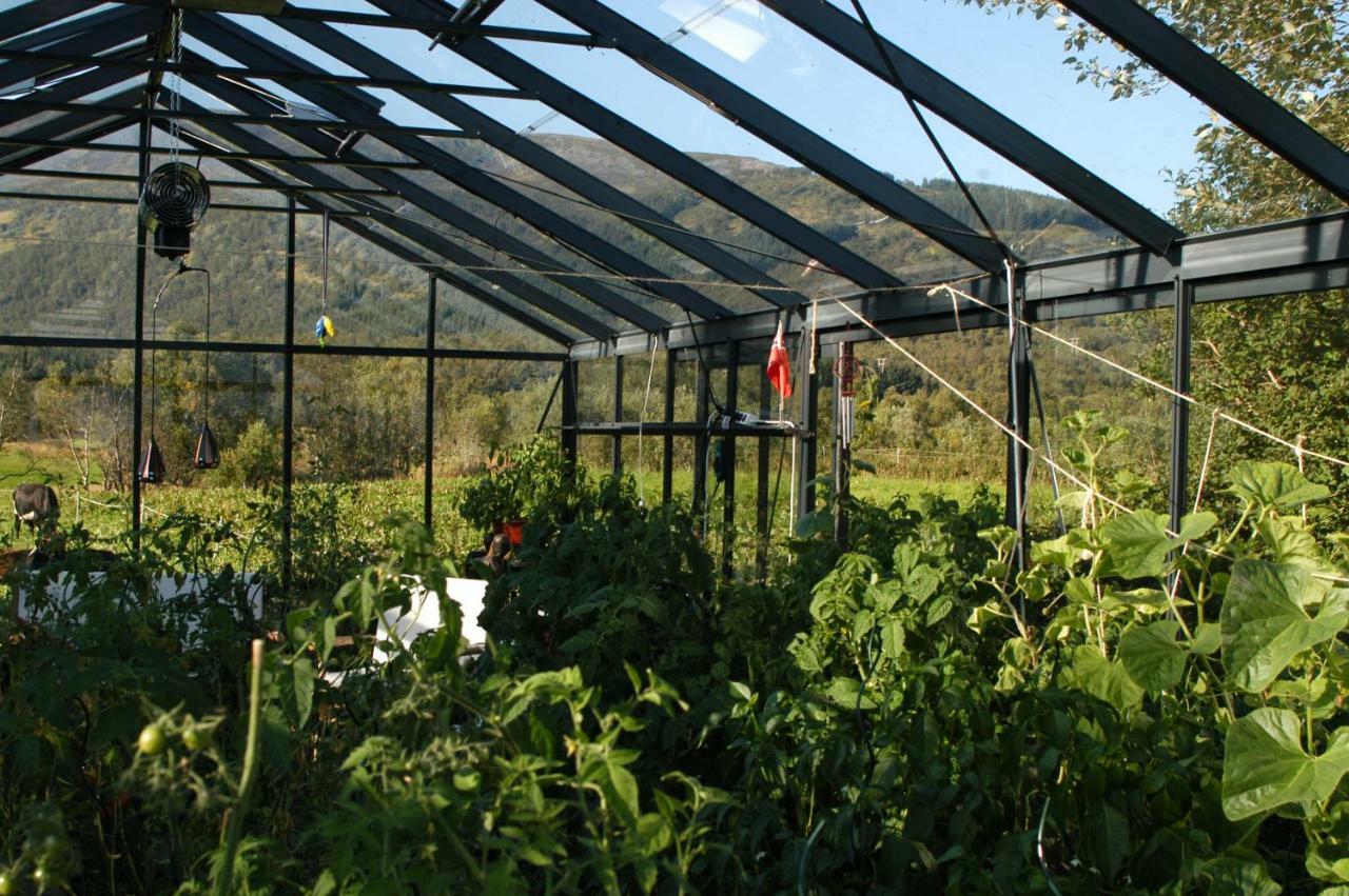 Art Studio Sortland Eksteriør bilde