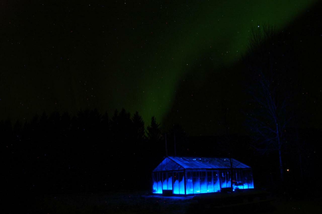 Art Studio Sortland Eksteriør bilde